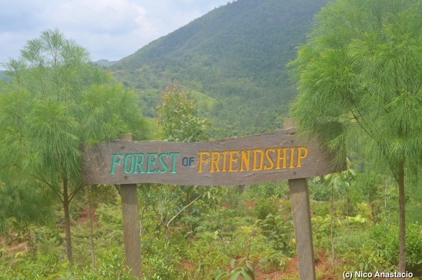 The signage of the forest of freindship