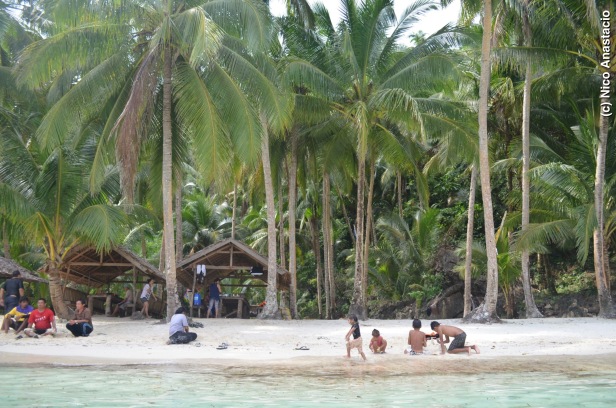 Bitaog Beach's white sand and coconut trees