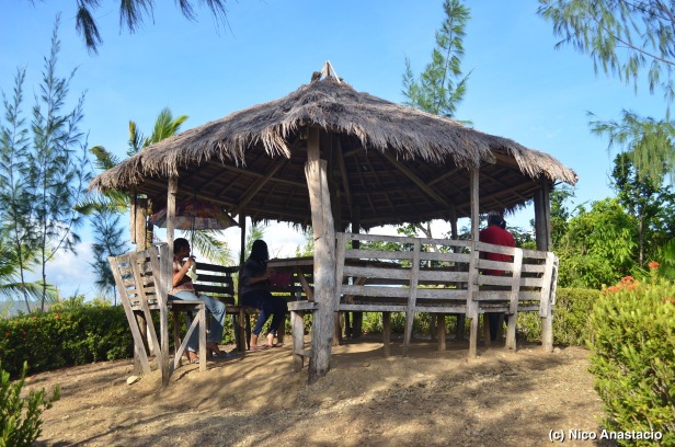 The Nipa Hut on the Paniog Hill