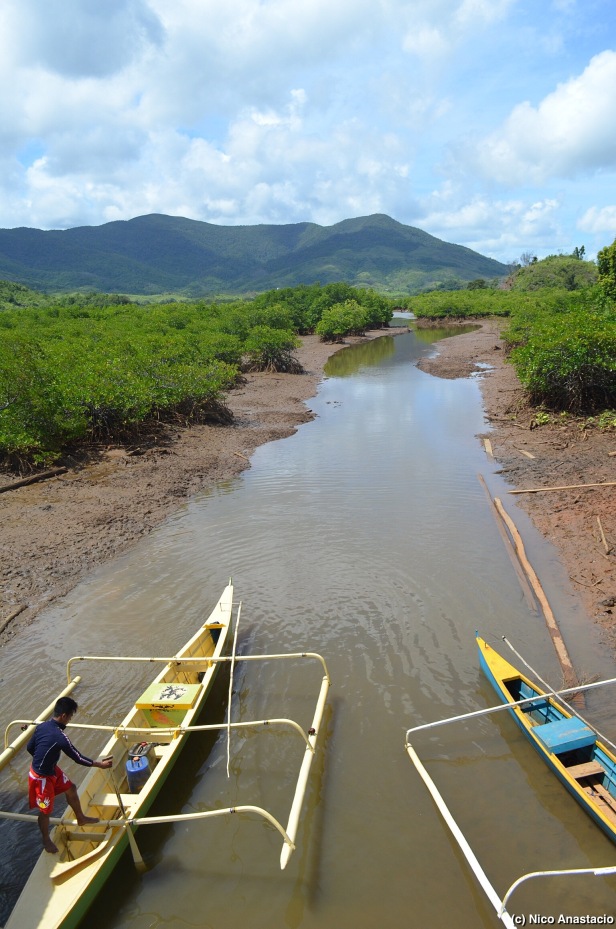 Rivers and Mountains in Bayanihan